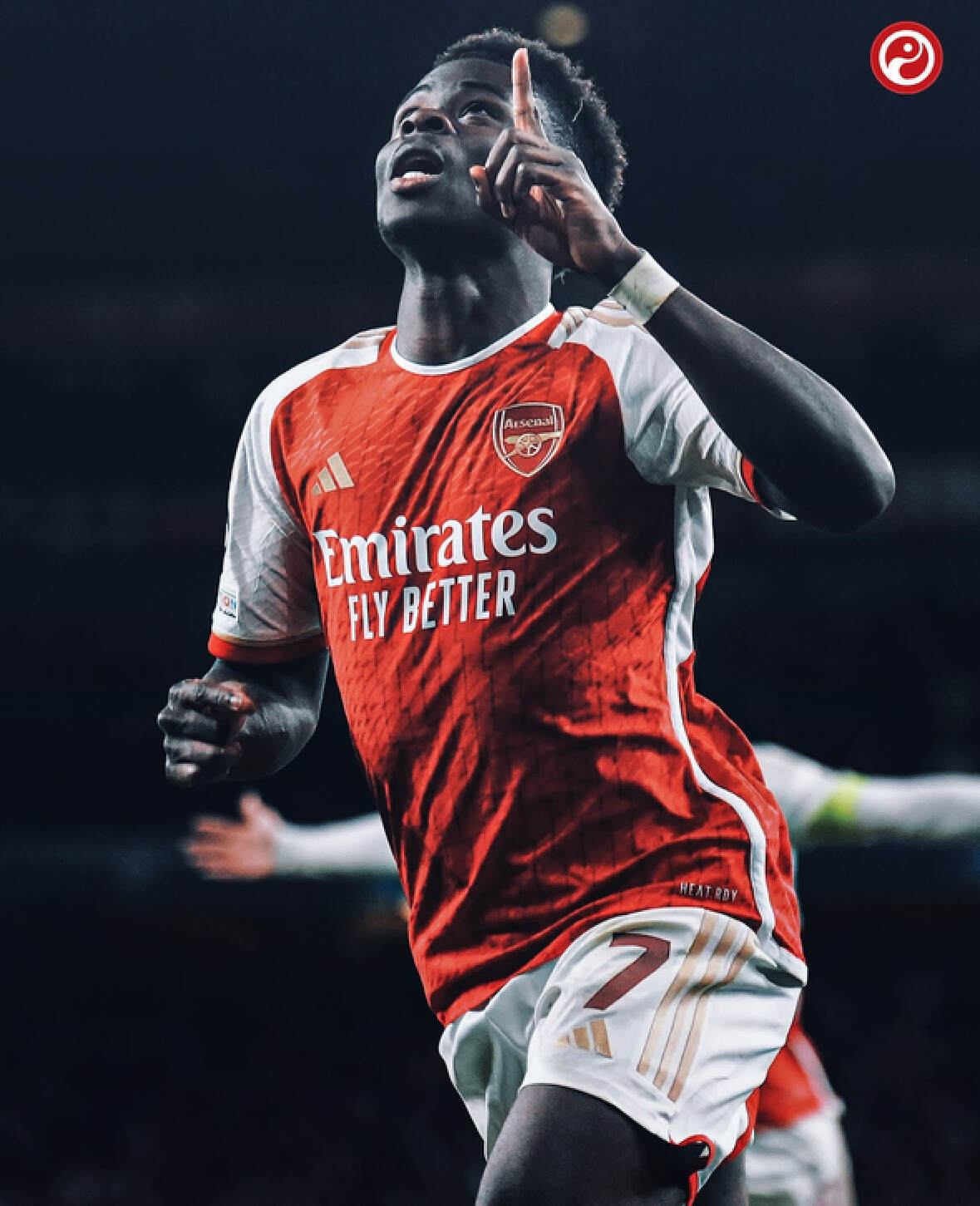 为两种完全 为两种完全